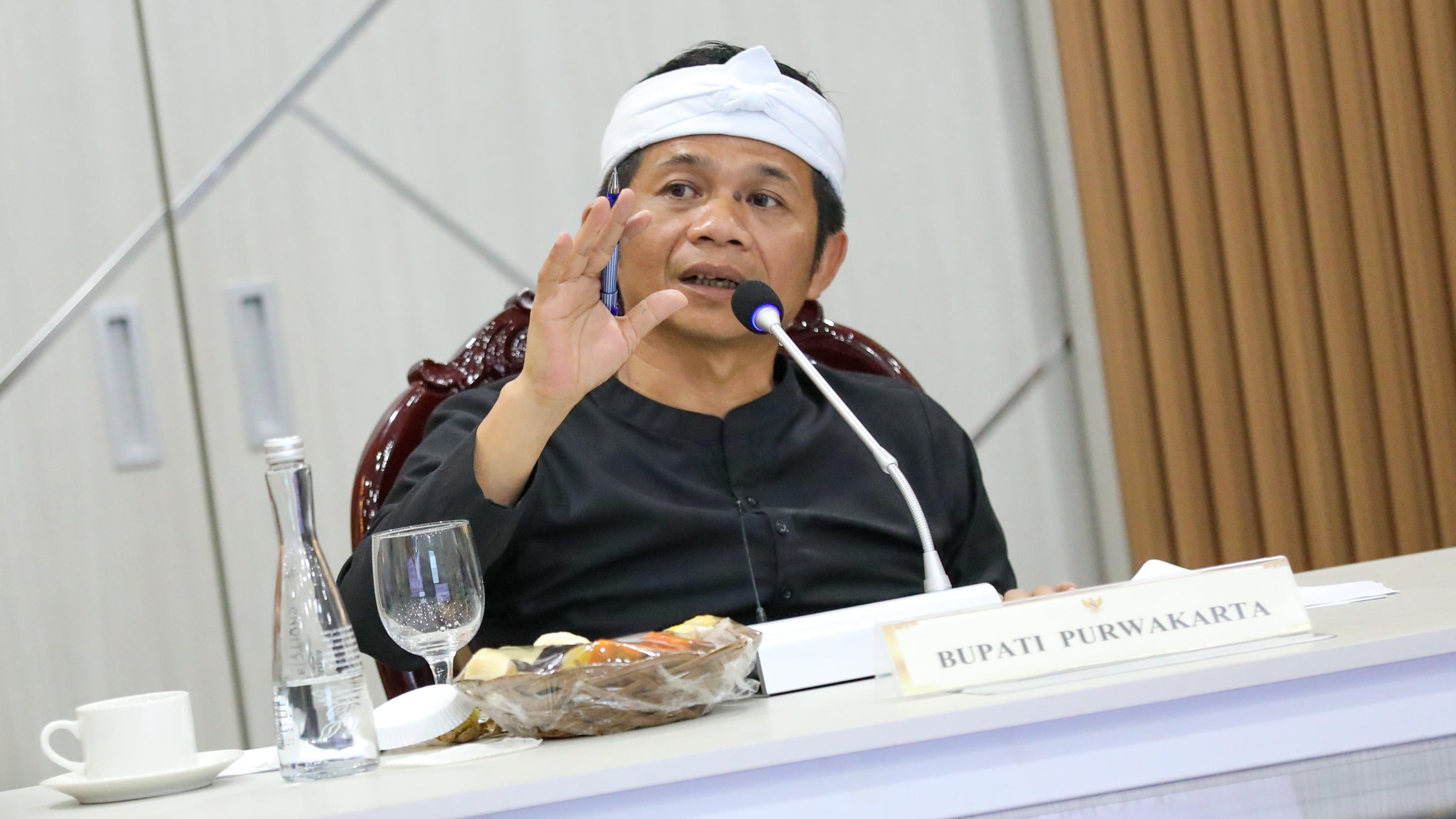 Bupati Purwakarta, Saipul Bahri Binzein