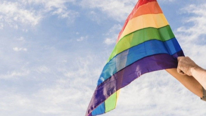 Ilustrasi LGBT.