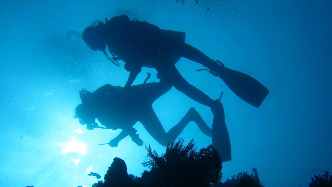 Masih Bingung Tujuan Nataru 2025? Pemuteran, Bali Bisa Jadi Pilihan
            - galeri foto