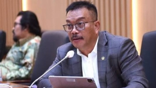 Anggota Komisi IX DPR RI, Edy Wuryanto.