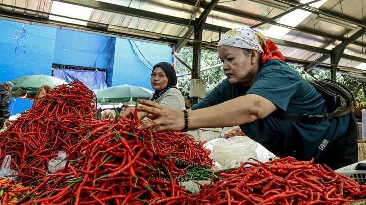 Pedagang Cabai di Pasar Kramat Jati, Jakarta Timur