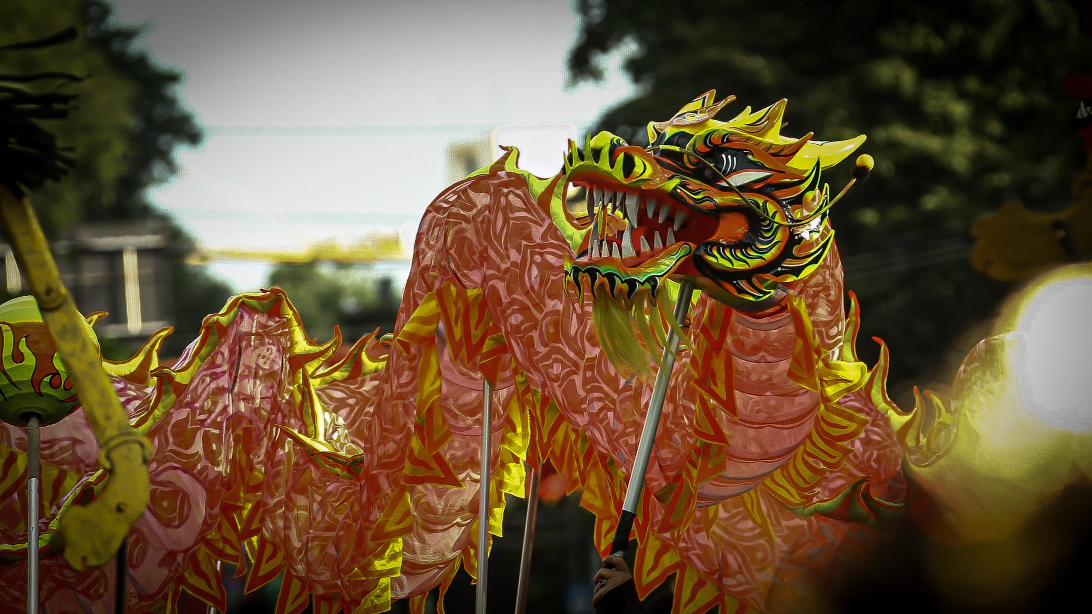 Berita Foto: Kemeriahan Parade Puncak Imlek Nasional 2026 di Lapangan Banteng
            - galeri foto