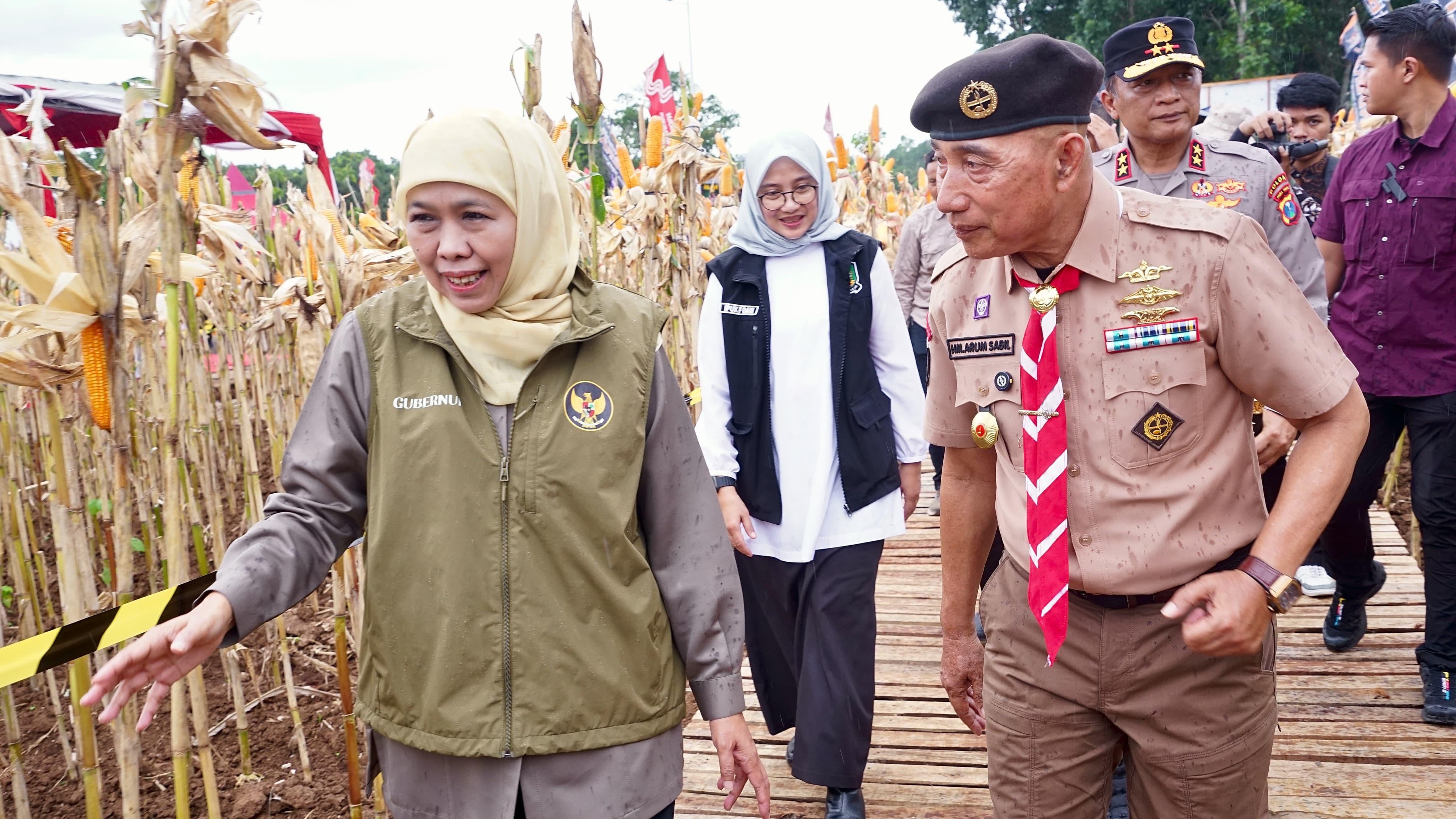 Provinsi Jatim Panen Jagung Tembus 4,8 Juta Ton