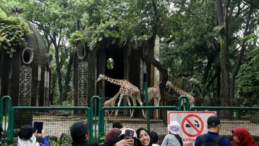 Suasana di Taman Margasatwa Ragunan Jakarta.
