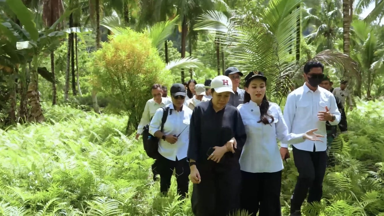 Gubernur Malut Sherly Tjoanda Ungkap Perasaannya usai Diterima Suku Pedalaman: Ini Pertama Kali Aku Ketemu
            - galeri foto