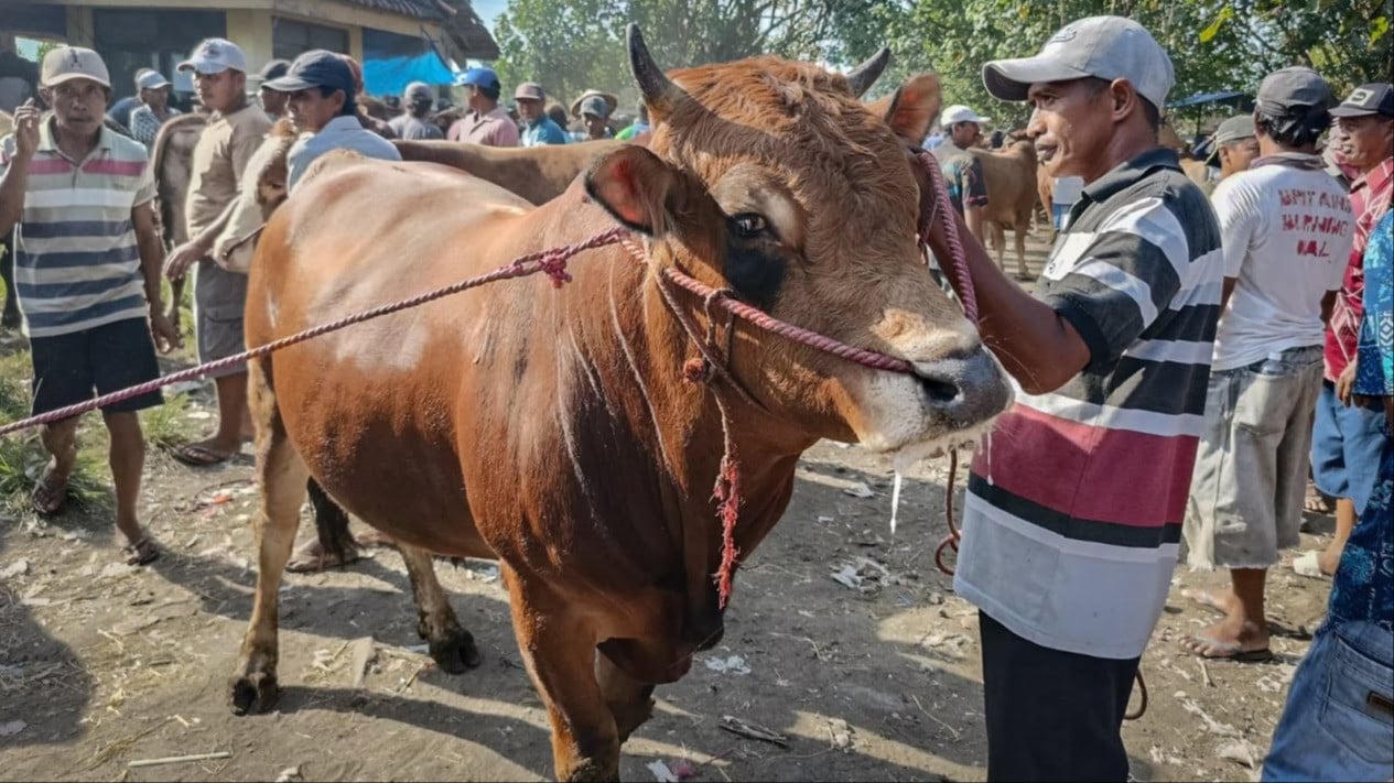Idul Adha, Berkurban