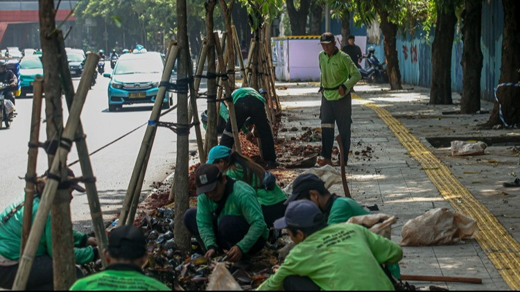 Penataan pedestrian di jalan Rasuna memasuki tahap penyelesaian akhir menjelang HUT Jakarta ke 499, Kamis (21/5/2026).