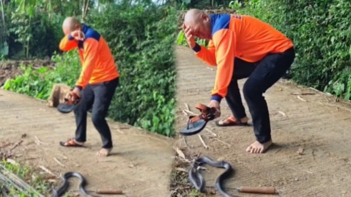 Momen mencekam Heru Gundul saat kesembur bisa ular kobra