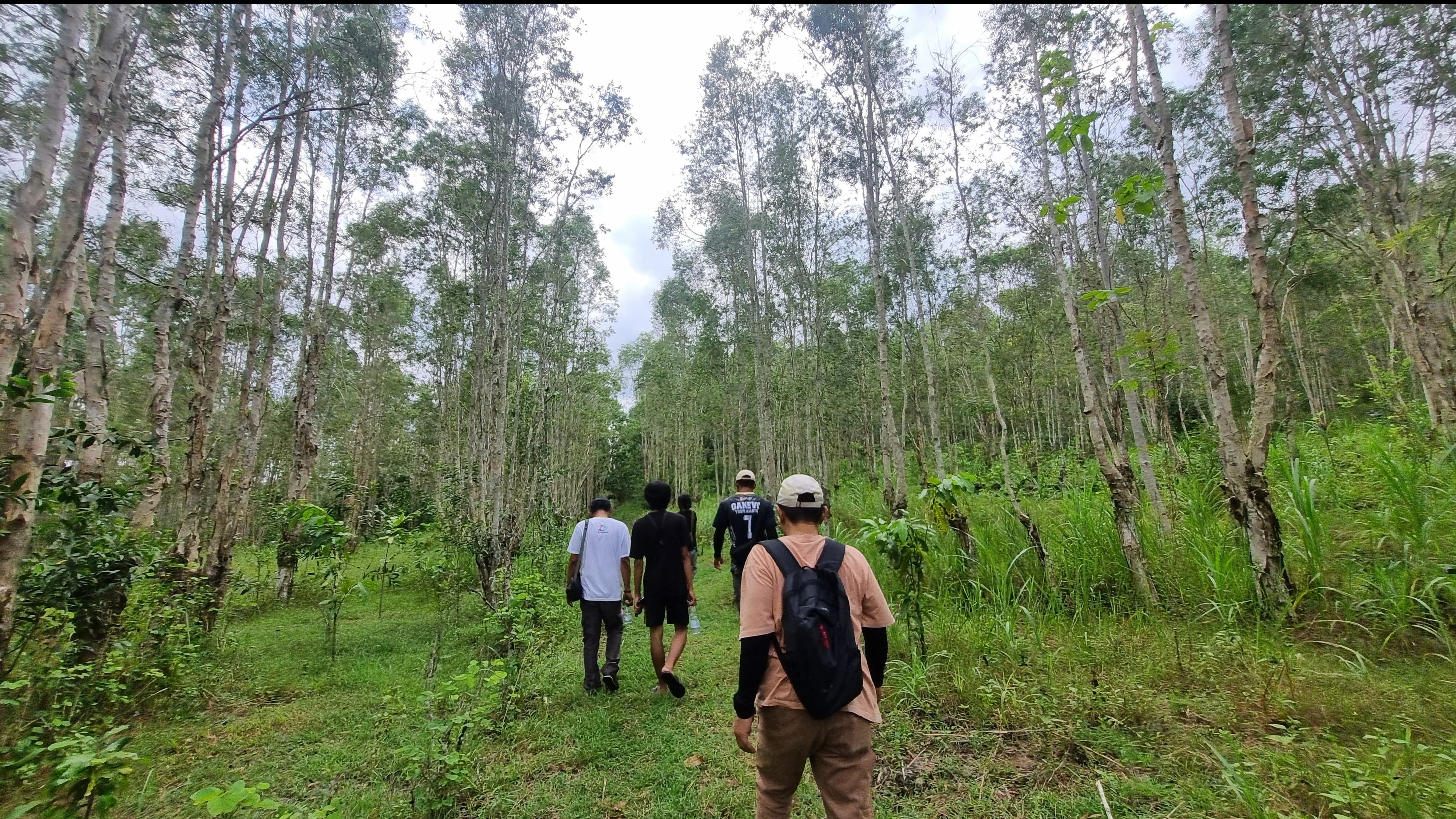 ‎Dukung Pengembangan Wisata Eco-Wellness, Dparagon Siap Jadi Mitra Strategis Pemerintah Daerah di Seluruh Indonesia
            - galeri foto