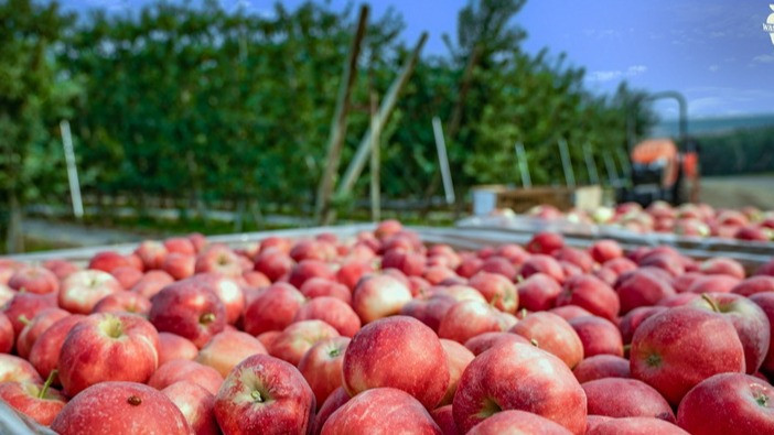 Bukan Sekedar Makanan Penutup, Intip Healthy Habit Sederhana yang Bisa Dimulai dari Buah
            - galeri foto