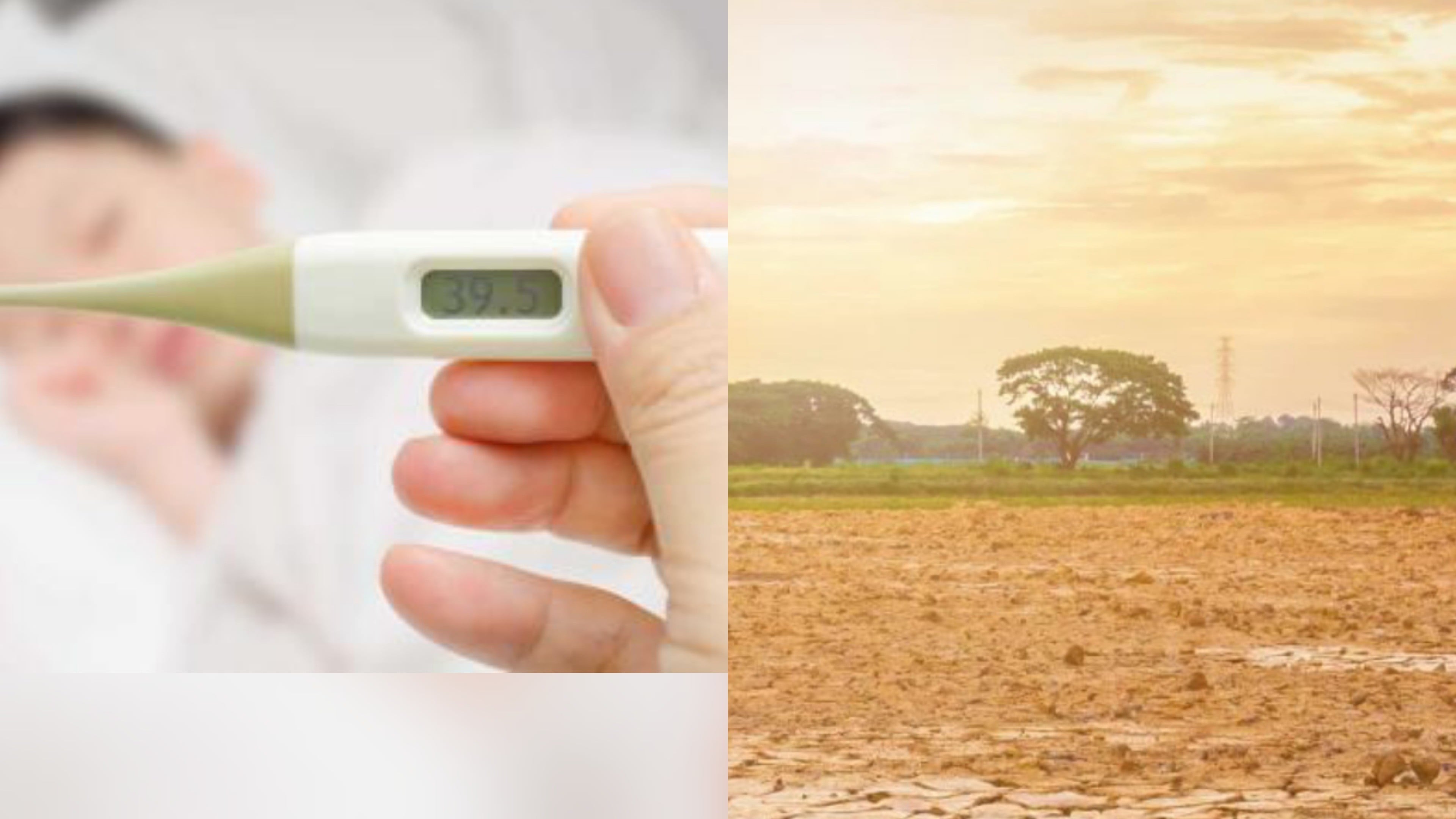 Fenomena El Nino Pengaruhi Kesehatan