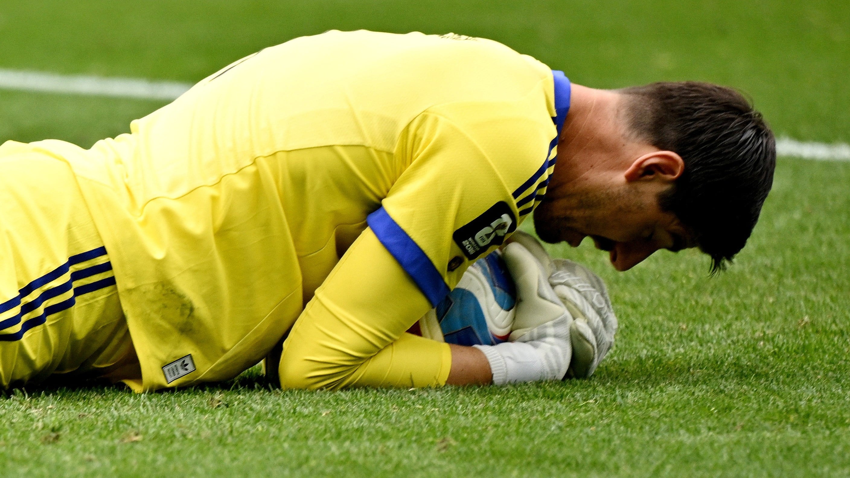 Kiper Timnas Belgia, Thibaut Courtois