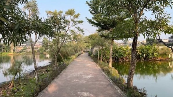 Taman Pinang