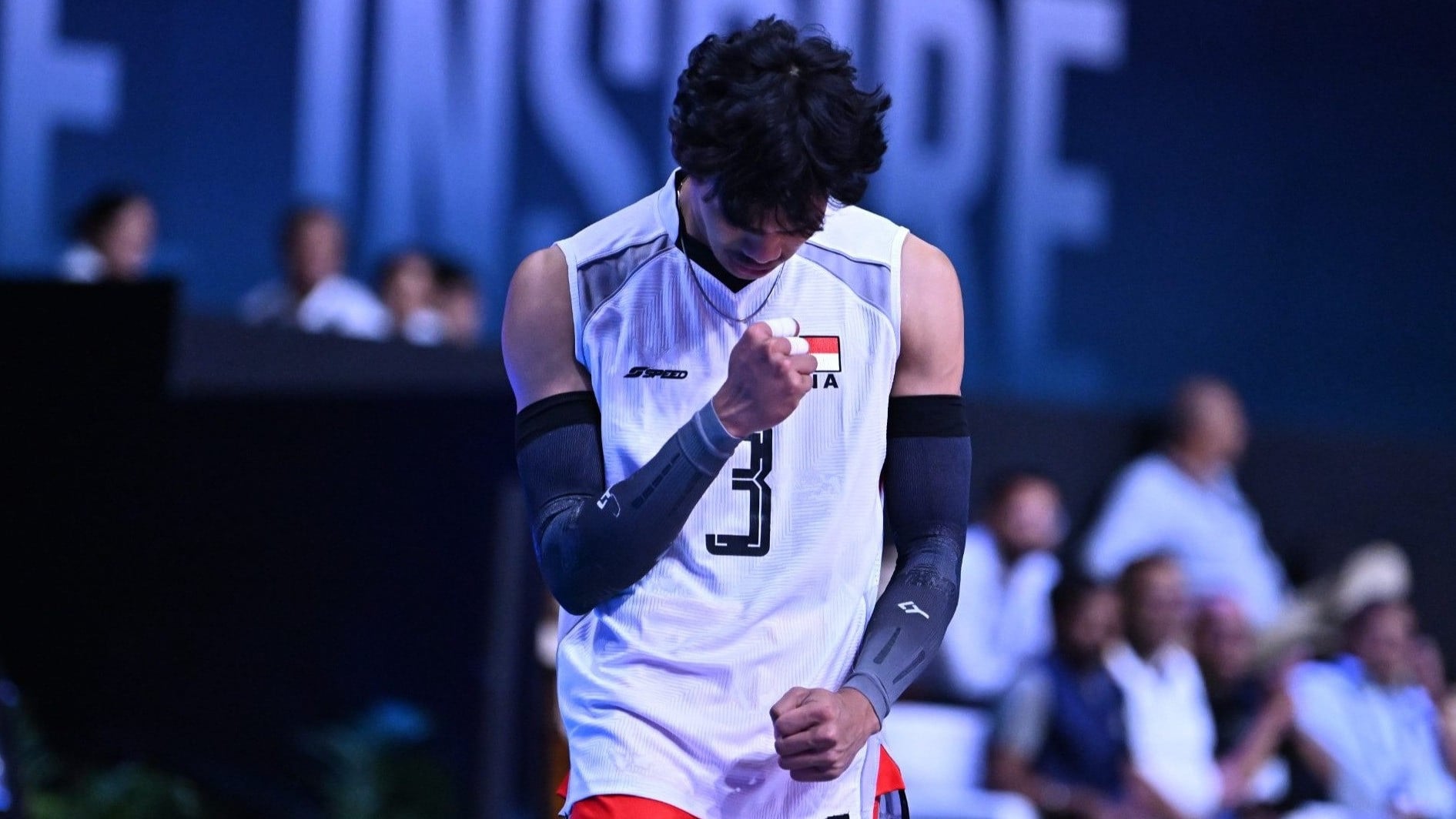 Hitter Timnas Voli Indonesia, Boy Arnez
