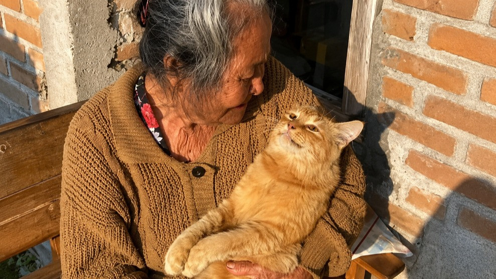 Momen Simbok Tukinil menangis saat Yanto, kucing oren kesayangannya yang punya 250 ribu followers mati