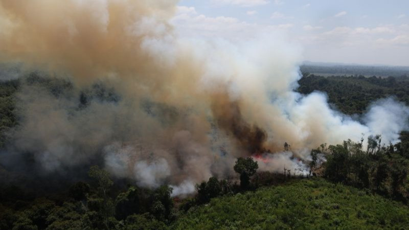 Foto udara asap membumbung tinggi dari kebakaran hutan dan lahan gambut di Kabupaten Ketapang, Kalimantan Barat.