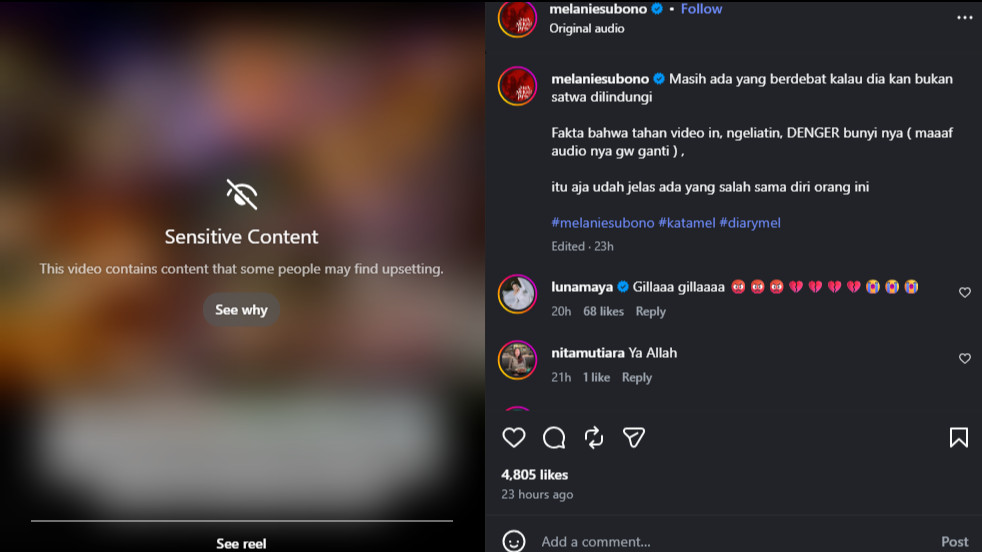 Publik figur seperti Melanie Subono dan Luna Maya ikut bersuara