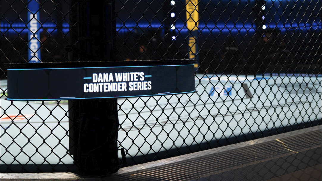 Dana White s Contender Series