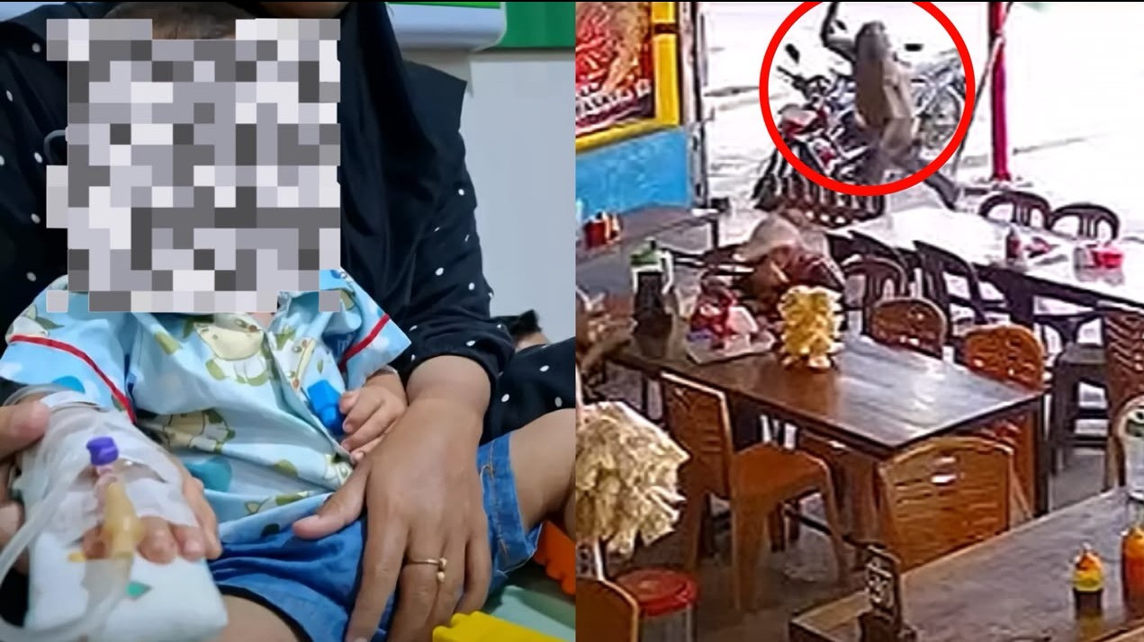 Viral Balita Dilempar Batu oleh ODGJ hingga Mental, Kondisinya Memprihatinkan