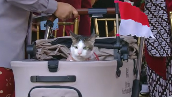 Kucing Prabowo Subianto, Bobby Kertanegara mengikuti upacara penurunan bendera di Istana Merdeka