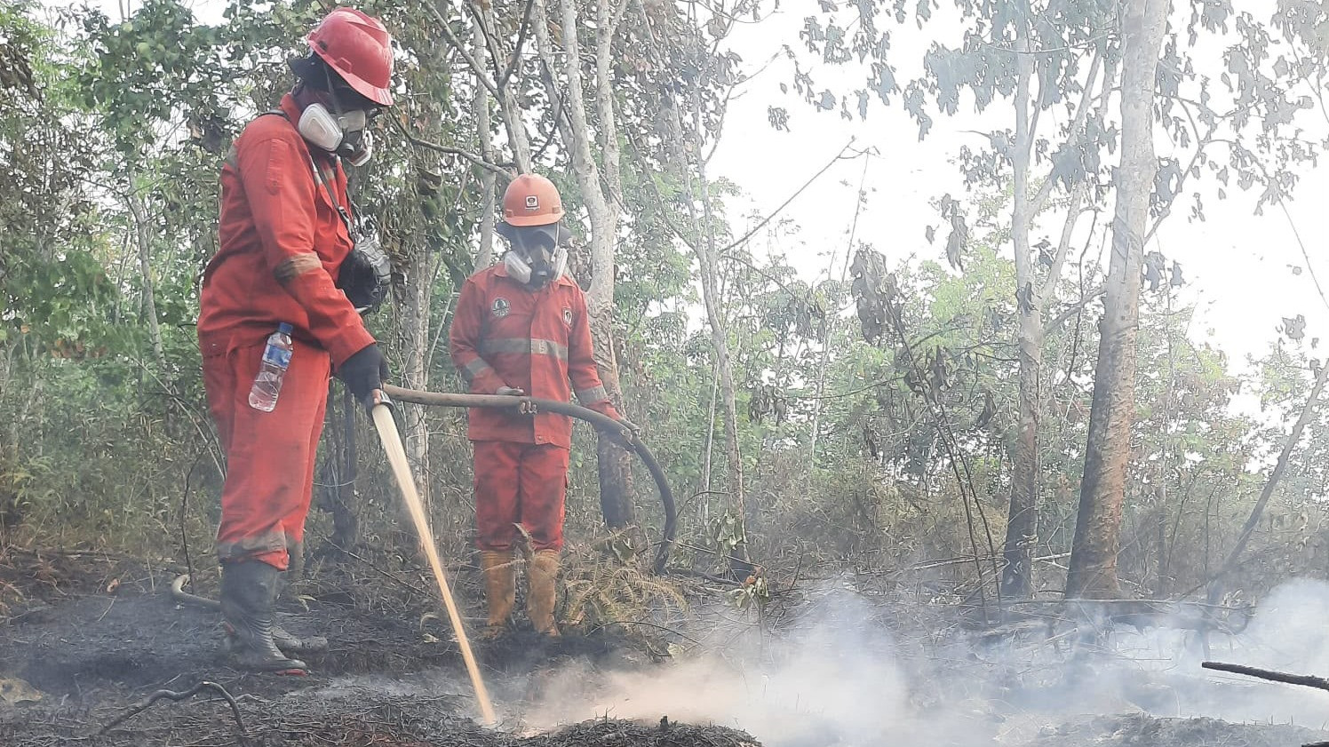 Pemerintah berkomitmen untuk terus meningkatkan efektivitas penanganan kebakaran hutan dan lahan (karhutla) di Pulau Kalimantan.