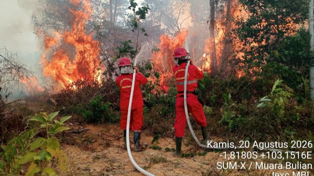 6 Provinsi di Kalimantan dan Sumatera Jadi Prioritas Penanganan Karhutla, Operasi Darat Jadi Ujung Tombak