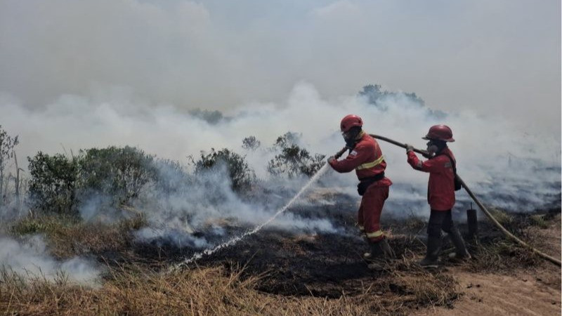 Petugas Manggala Agni Kemenhut melakukan pemadaman karhutla di Sumatera Selatan, Minggu (23/8/2026).