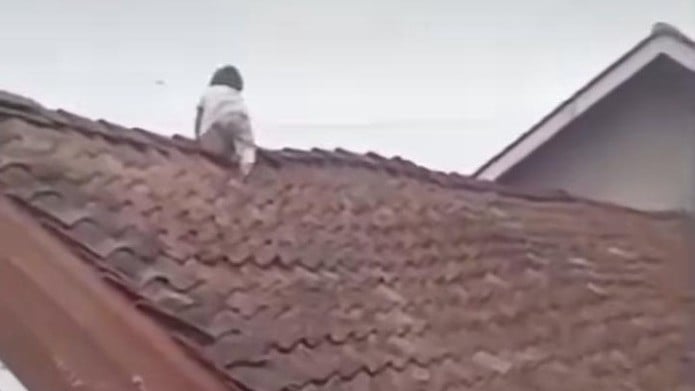 Balita 2 Tahun di Wonosobo Merayap Bak  Spider-Man  Hingga Duduk Santai di Atap Rumah