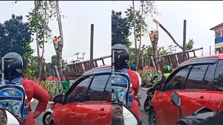 Pekerja penebang pohon di Depok terluka setelah batang yang ditebang kena dirinya sendiri