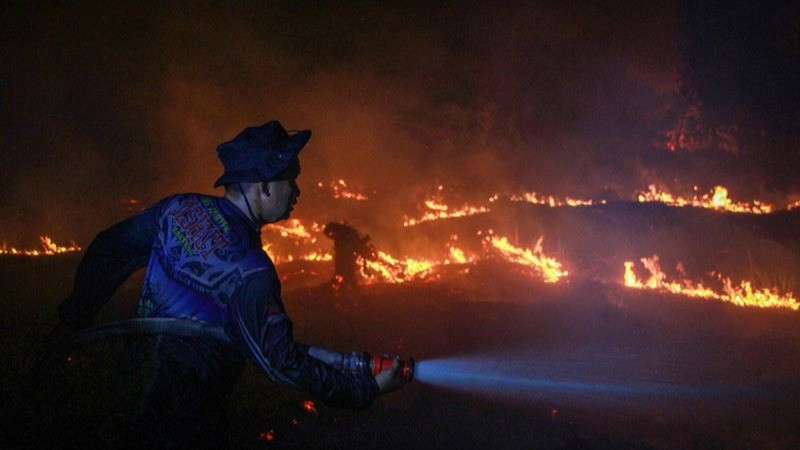 Petugas dari Dinas Kehutanan Kalteng berupaya memadamkan kebakaran di Kelurahan Menteng, Palangka Raya, Kalimantan Tengah, Kamis (27/8/2026)