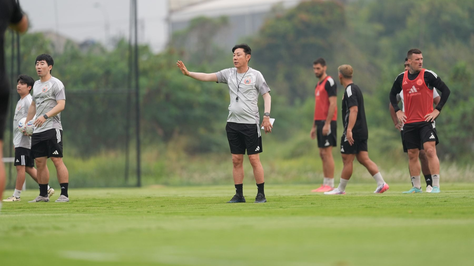 Pelatih Persija Jakarta, Shin Tae-yong