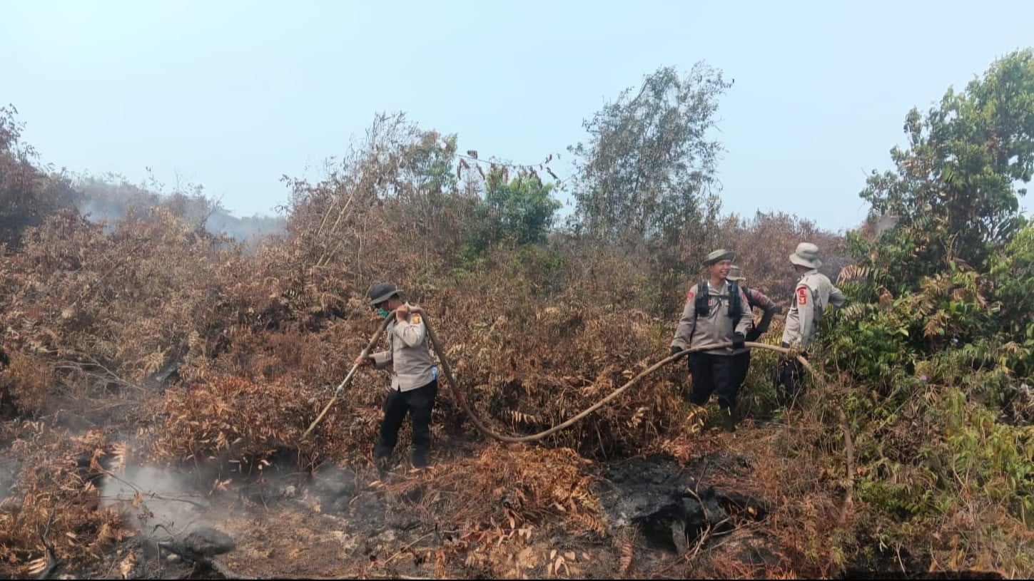 Polda Sumatera Selatan melalui Satbrimob Polda Sumsel terus melakukan pemadaman kebakaran hutan dan lahan (Karhutla) di kawasan lahan gambut Dusun 3