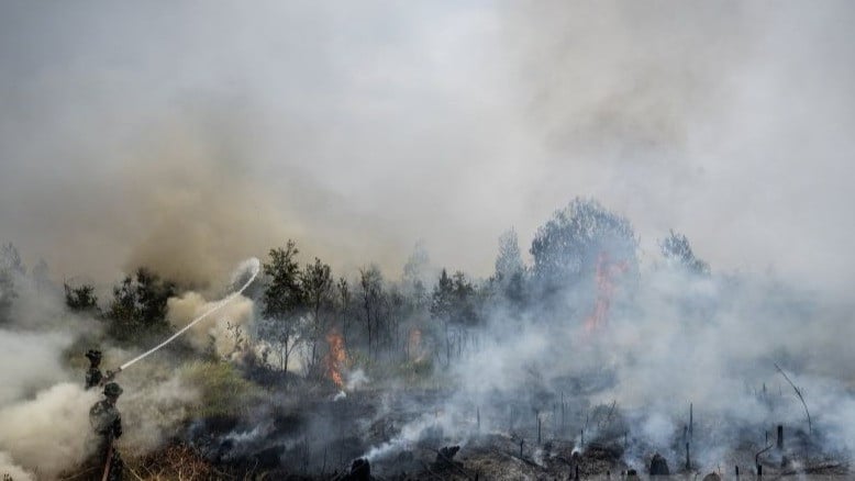 Petugas berjibaku memadamkan titik karhutla di Banjarbaru, Kalimantan Selatan, beberapa waktu lalu.