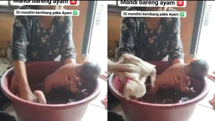 Nenek mandikan bayi berusia 40 hari dengan seekor ayam hidup