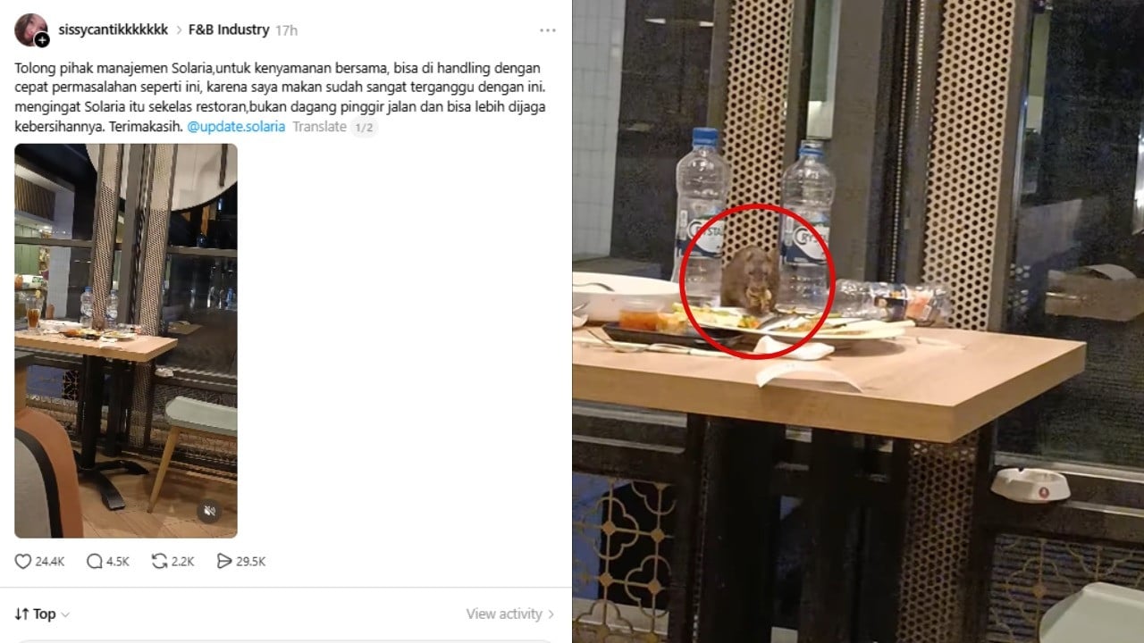 Tikus di meja pelanggan restoran terkenal