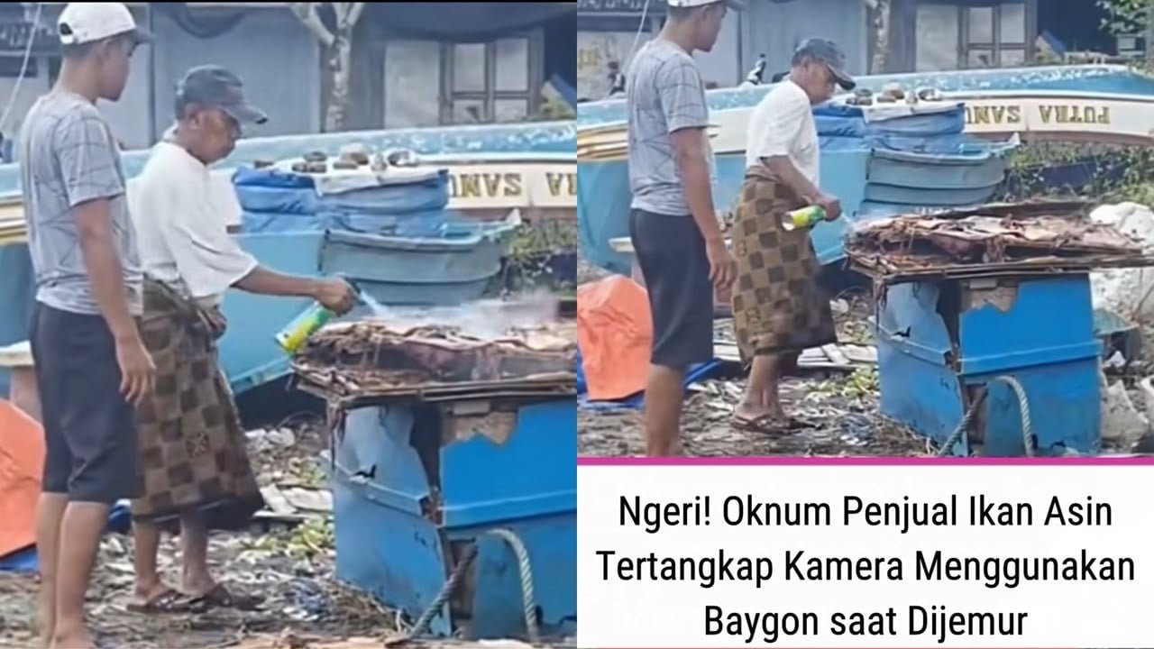 Viral Ikan Asin Disemprot  Baygon  saat Dijemur, Ini 5 Bahaya Utama Insektisida pada Makanan
