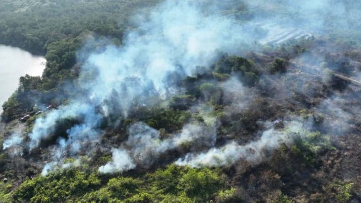 Indonesia dan Singapura Sepakati Satgas Penegakan Hukum Karhutla