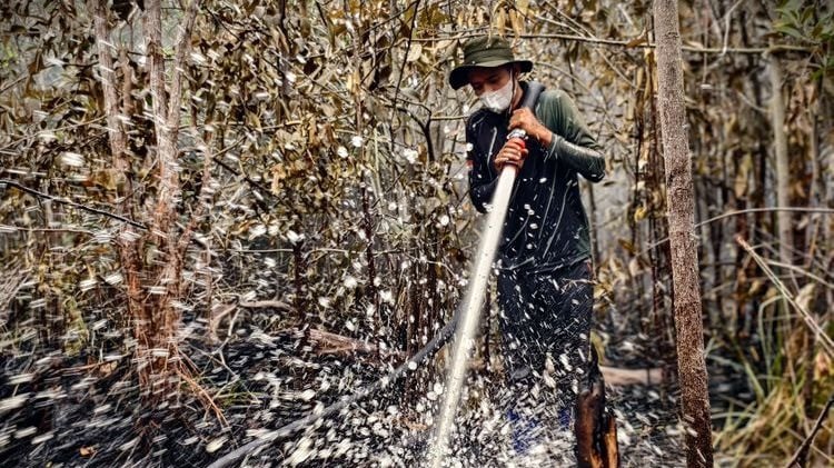Kebakaran hutan dan lahan