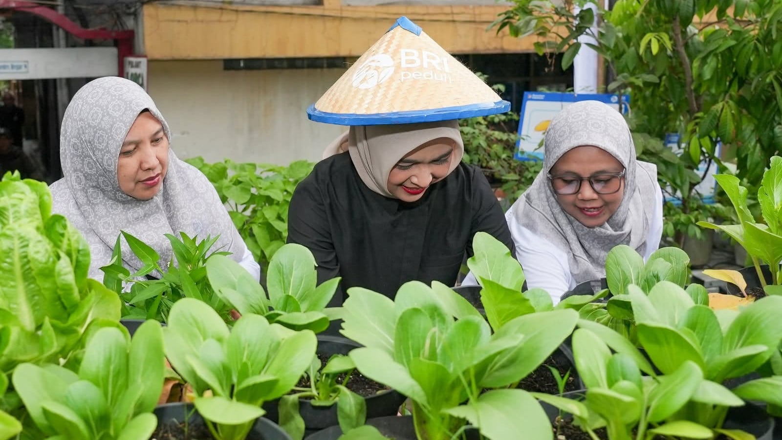 BRInita Buruan Sae Pajajaran Hegar Kota Bandung