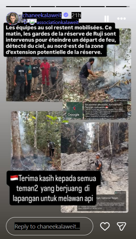 Penampakan Karhutla di Kalimantan Tengah Dibagikan Chanee Kalaweit
            - galeri foto