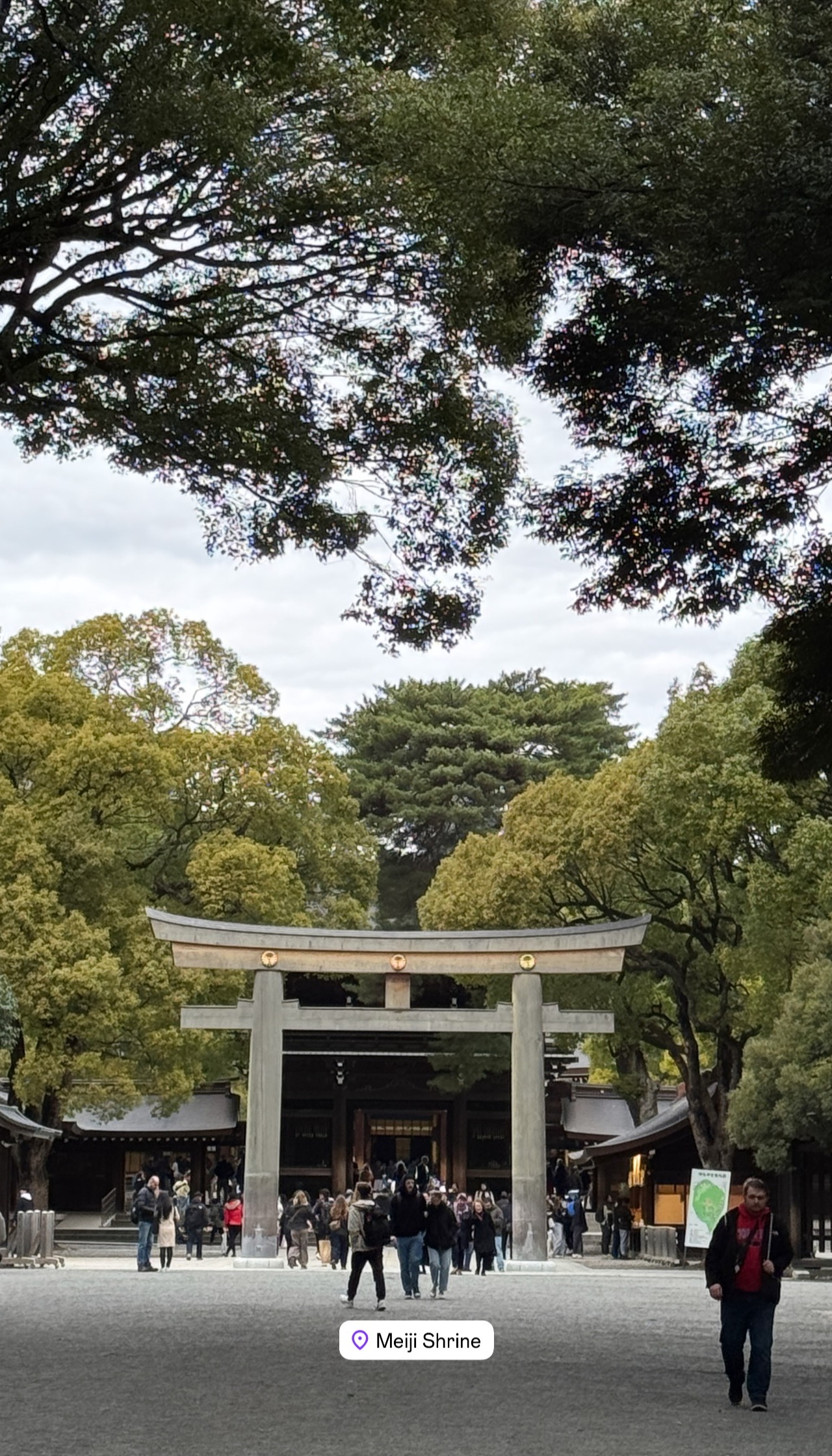 Kencan Seru ala Sandy Walsh dan Istri di Jepang, Mulai dari Shibuya Crossing sampai Meiji Jingu
            - galeri foto