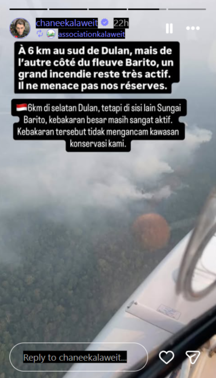 Penampakan Karhutla di Kalimantan Tengah Dibagikan Chanee Kalaweit
            - galeri foto