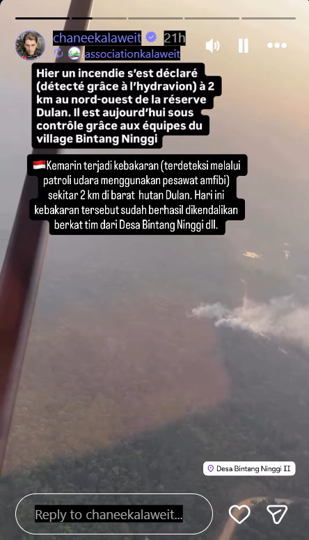 Penampakan Karhutla di Kalimantan Tengah Dibagikan Chanee Kalaweit
            - galeri foto