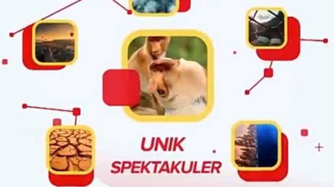 Artikel