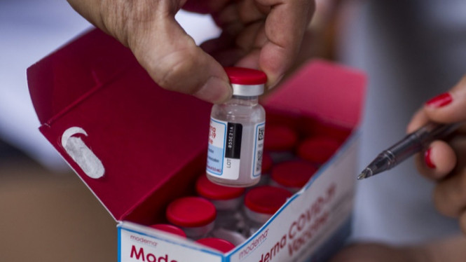 Moderna Cuts Estimated Sales of Covid-19 Vaccines in 2021 to IDR 71.7 Trillion