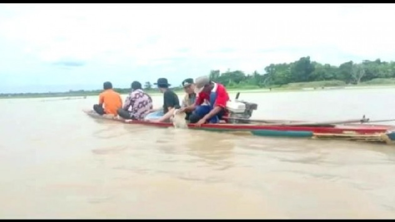 Sungai Way Sekampung Meluap Ratusan Hektare Tanaman Petani Terancam Puso
