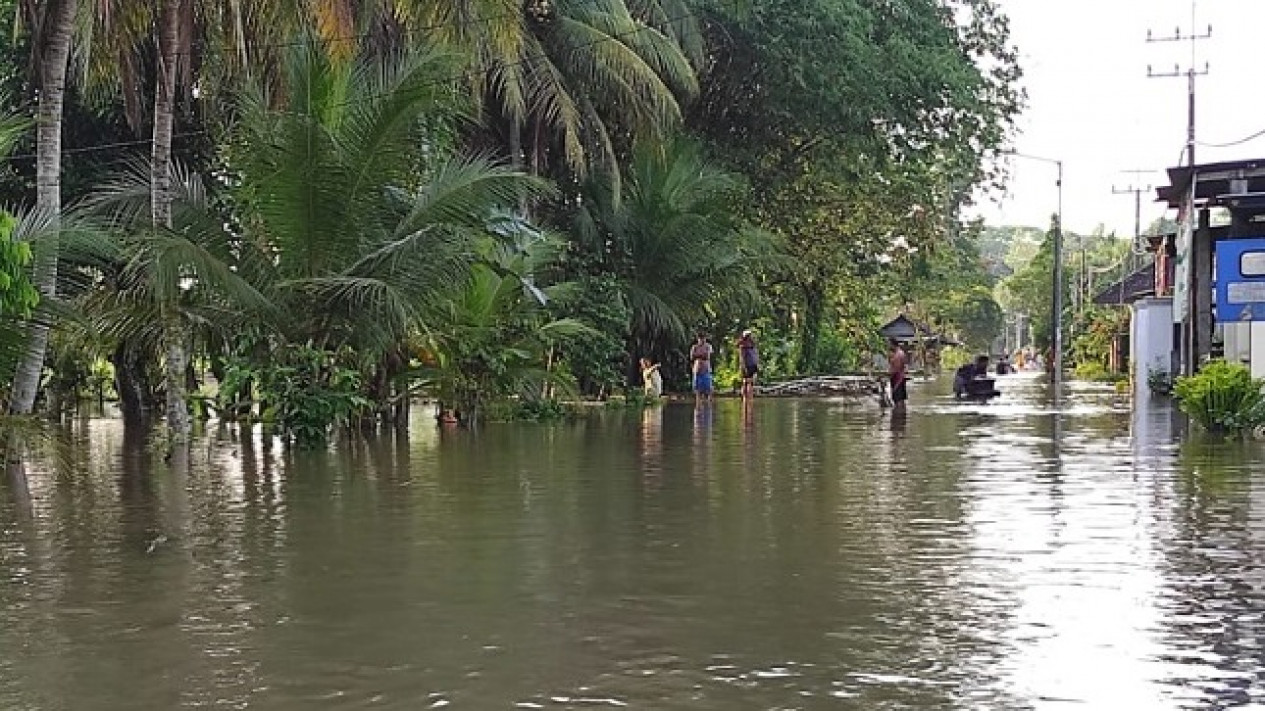 Puluhan Rumah Warga Di Jember Masih Terendam Banjir Setinggi 1 Meter