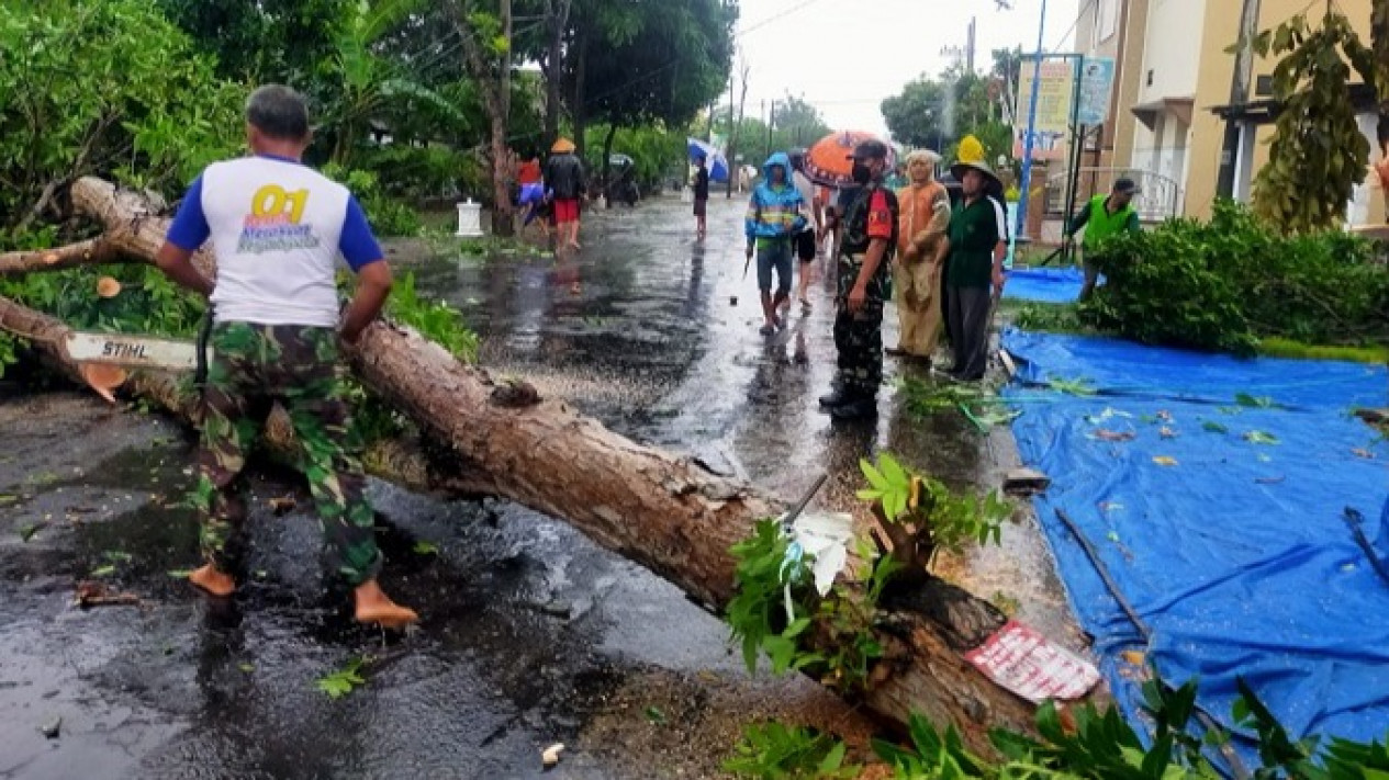 Angin Puting Beliung Rusak Rumah, Sekolah Dan Fasilitas Umum Di Magetan