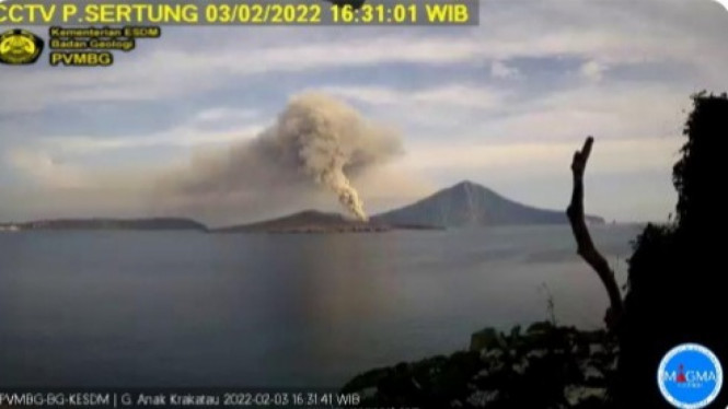 Gunung Anak Krakatau Erupsi, Ketinggian Abu Vulkanik Mencapai 200 Meter