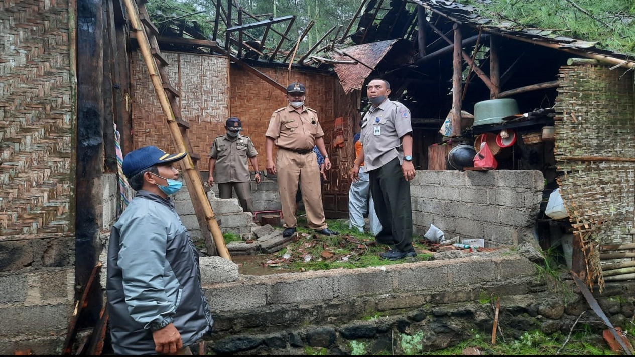 Pohon Tumbang Timpa Tiga Rumah Di Banyuwangi Tiga Warga Luka Luka 4176